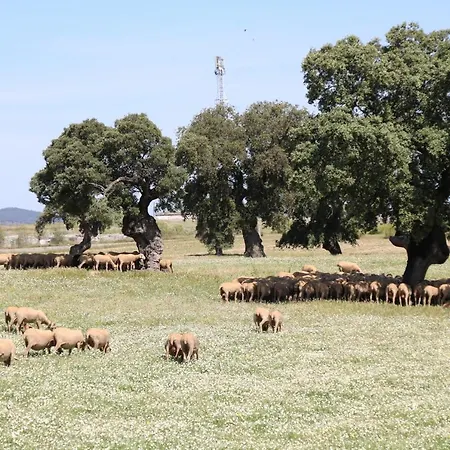 Casa De Pueblo Montenegro Dom wakacyjny